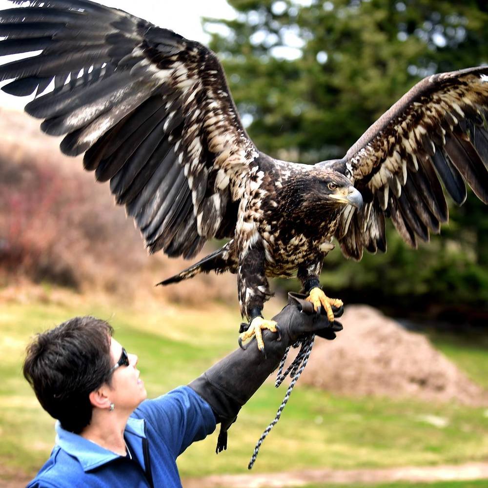 Meet your Posher, Kari